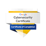 Google Cybersecurity Professional